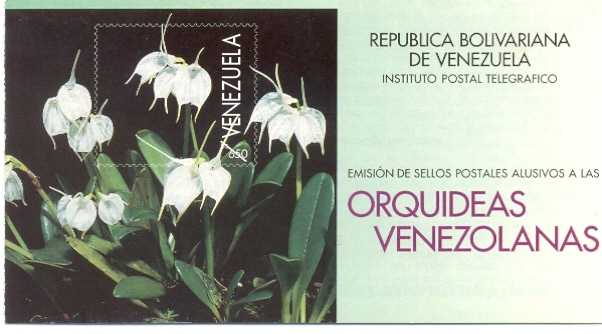 Orquídeas Venezolanas